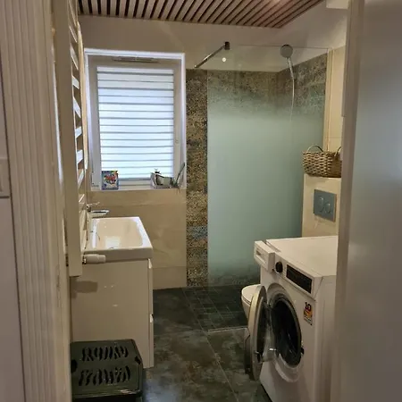 W Sosnowym Lesie 미에드지보드지