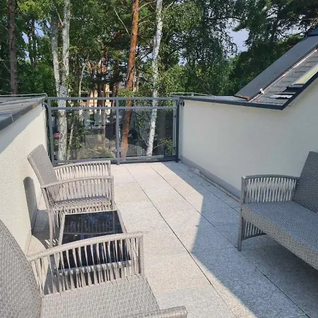 W Sosnowym Lesie Międzywodzie