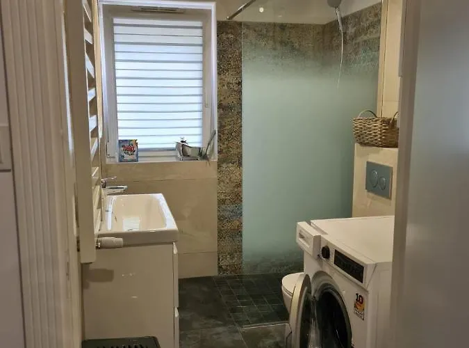 W Sosnowym Lesie Międzywodzie