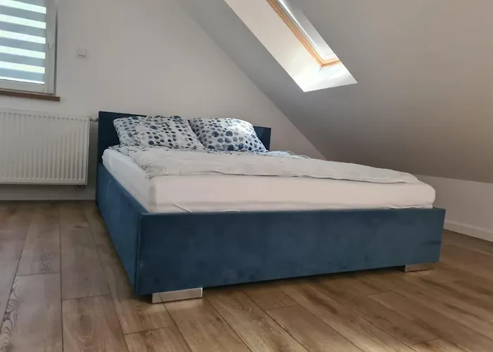 W Sosnowym Lesie * Międzywodzie