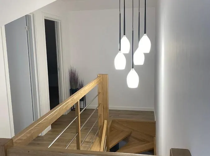 W Sosnowym Lesie * Międzywodzie