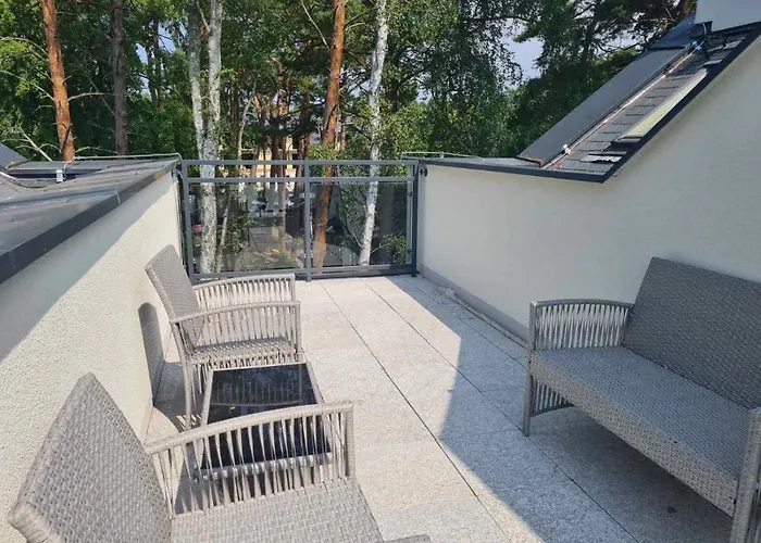 W Sosnowym Lesie 미에드지보드지