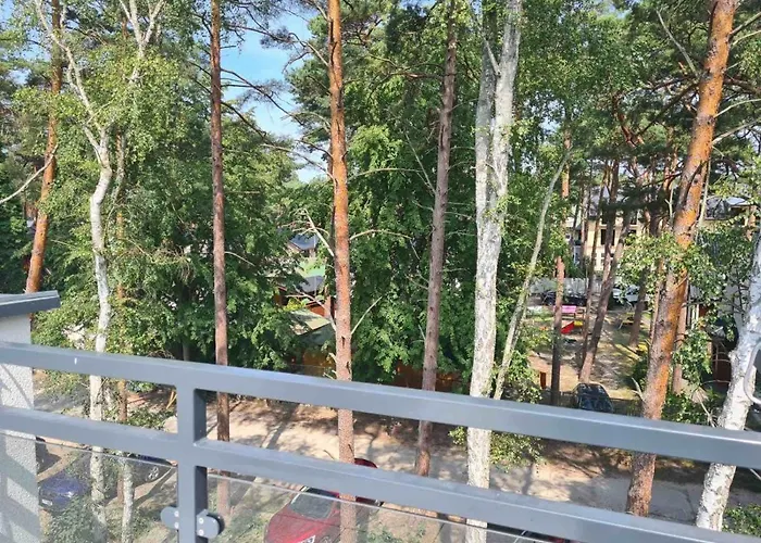 W Sosnowym Lesie 아파트 미에드지보드지