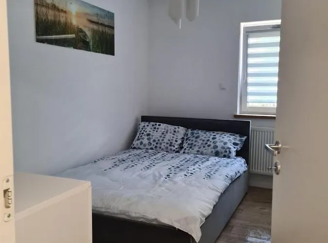 W Sosnowym Lesie * Międzywodzie