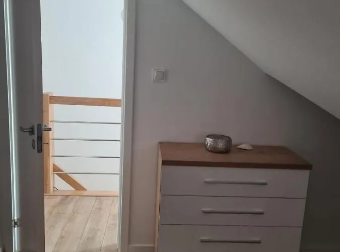 W Sosnowym Lesie 미에드지보드지