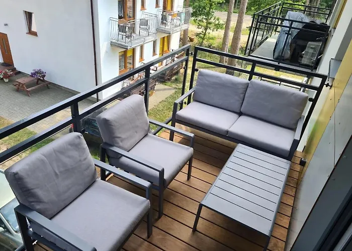 W Sosnowym Lesie 미에드지보드지