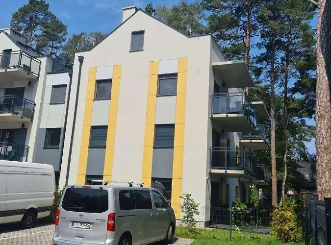 W Sosnowym Lesie * 미에드지보드지