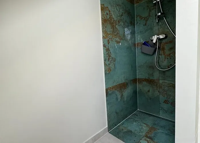 W Sosnowym Lesie 미에드지보드지